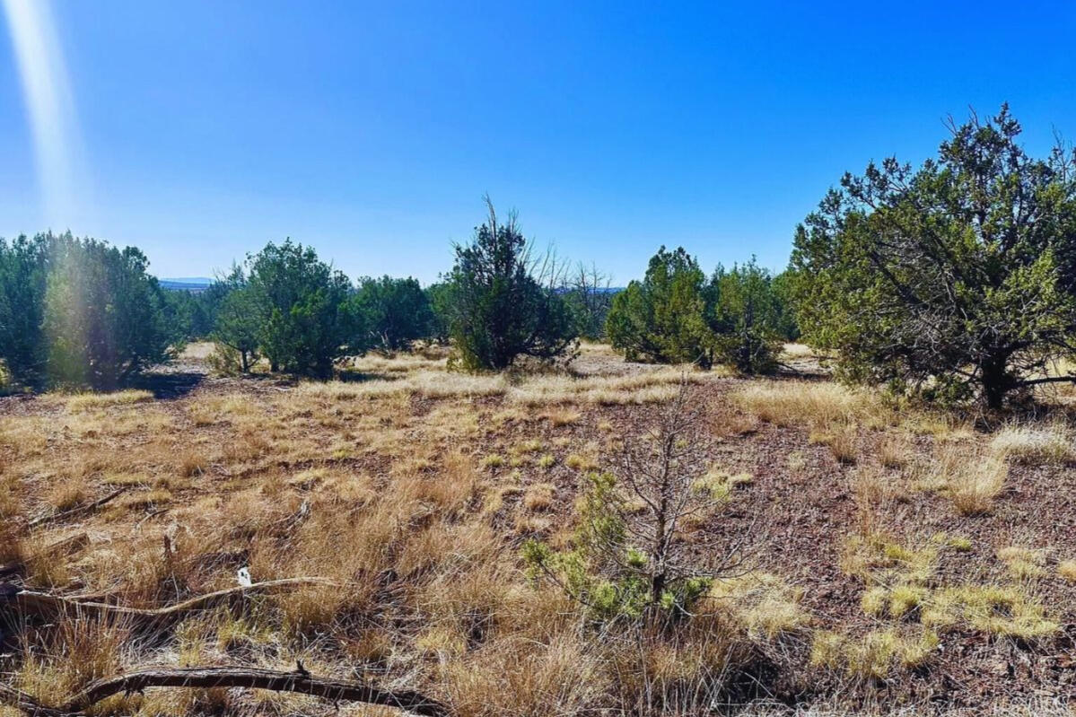 Coconino 2.25 Acres, 20508006 Multi-Family - 5846 W Valley View Blvd, Williams, AZ 86046
