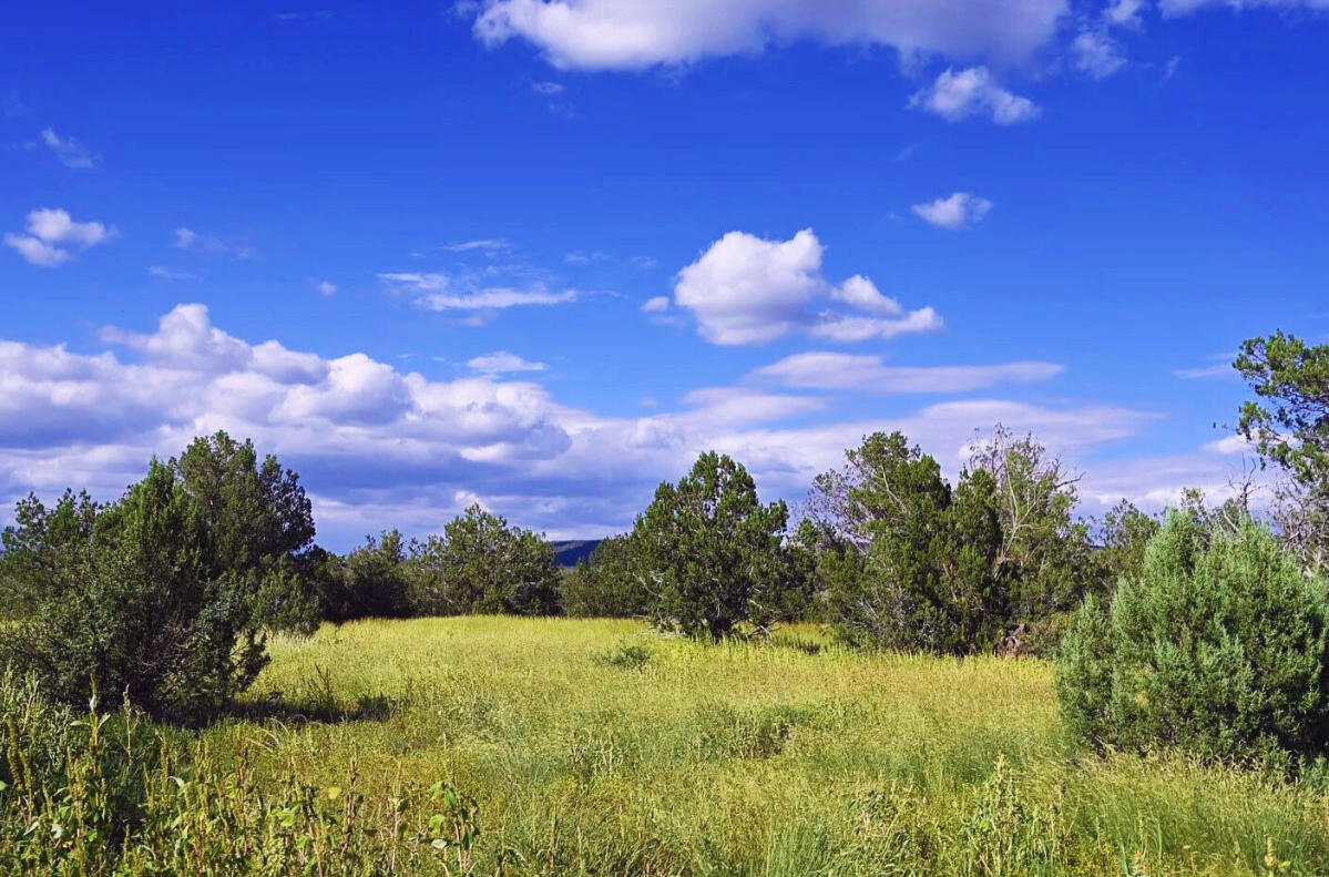 Coconino 2.25 Acres, 20508006 Multi-Family - 5846 W Valley View Blvd, Williams, AZ 86046