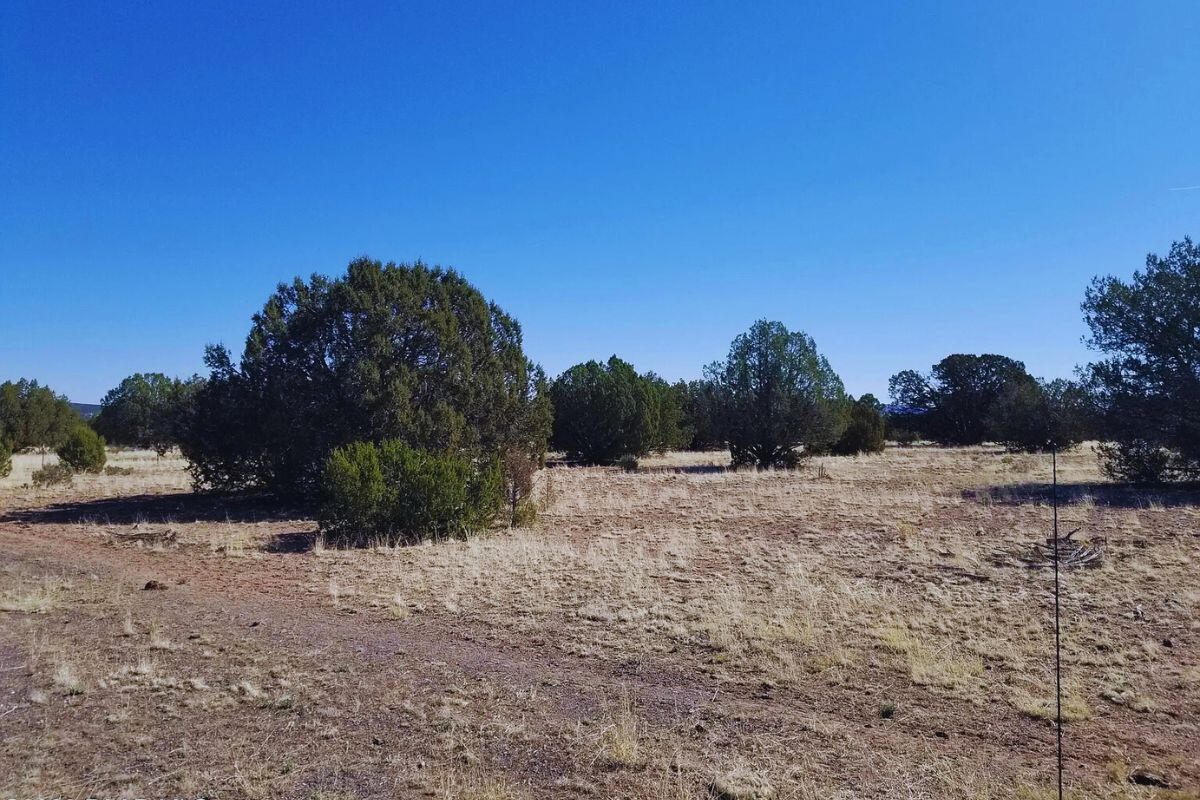 Coconino 2.25 Acres, 20508006 Multi-Family - 5846 W Valley View Blvd, Williams, AZ 86046