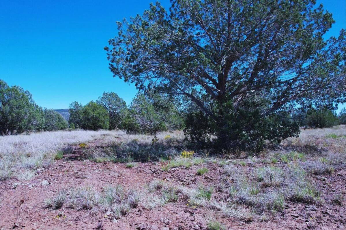 Coconino 2.25 Acres, 20508006 Multi-Family - 5846 W Valley View Blvd, Williams, AZ 86046