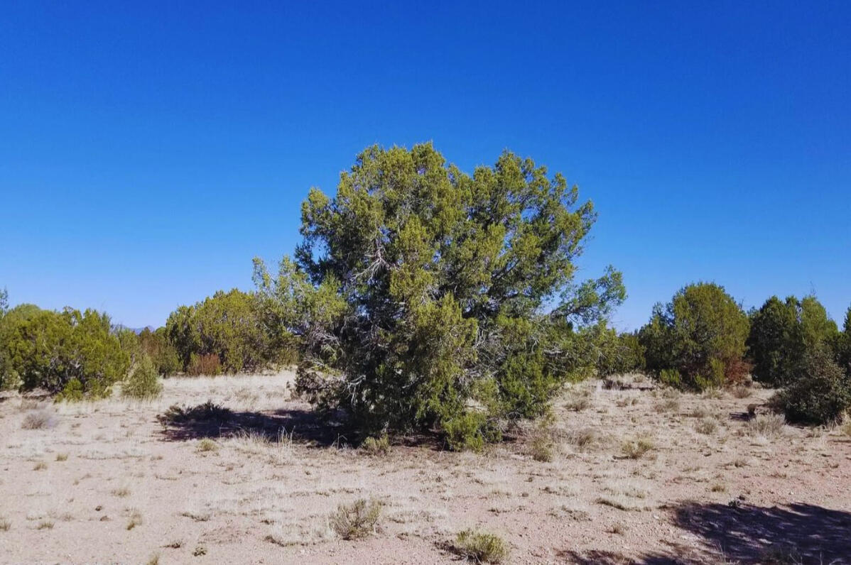 Coconino 2.25 Acres, 20508006 Multi-Family - 5846 W Valley View Blvd, Williams, AZ 86046