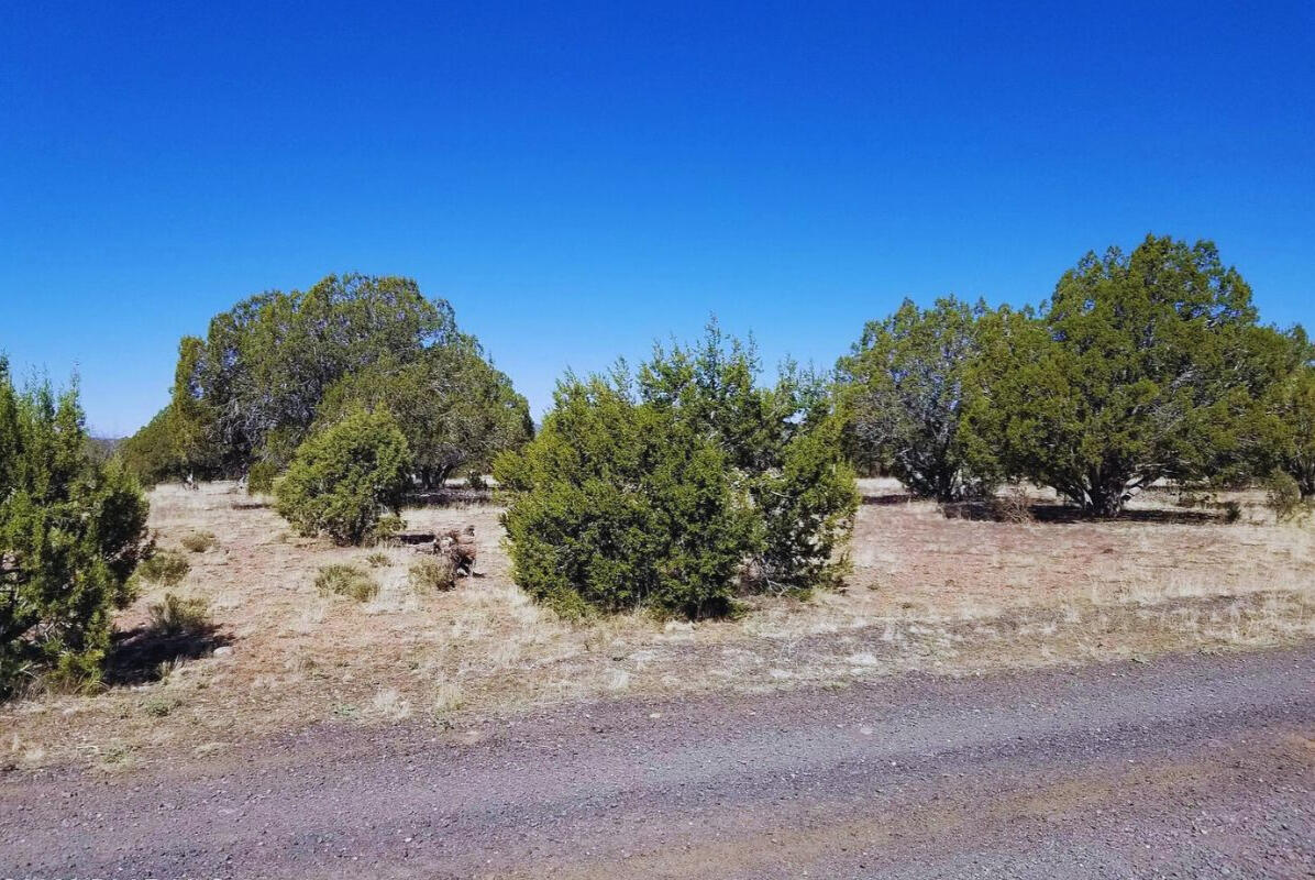 Coconino 2.25 Acres, 20508006 Multi-Family - 5846 W Valley View Blvd, Williams, AZ 86046