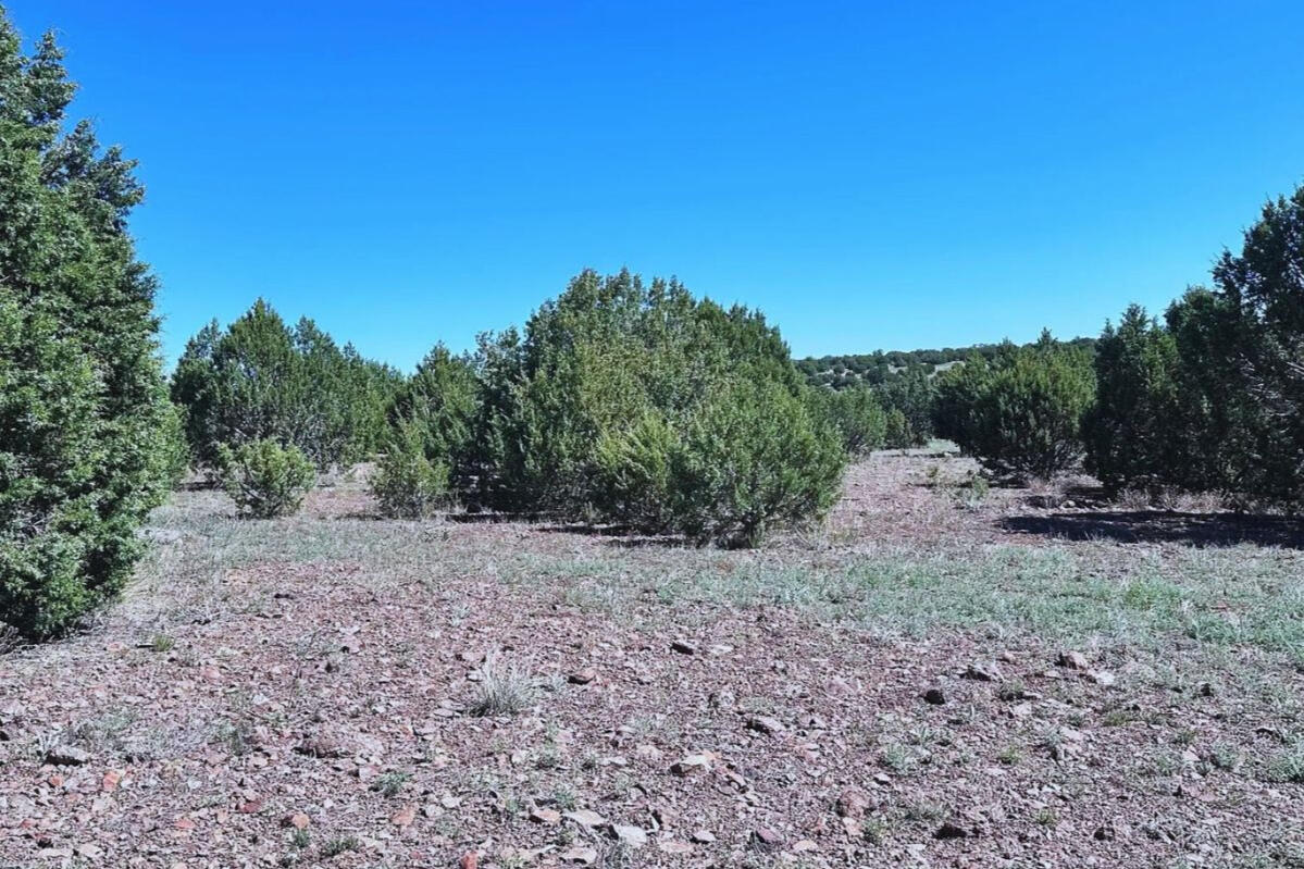 Coconino 2.25 Acres, 20508006 Multi-Family - 5846 W Valley View Blvd, Williams, AZ 86046
