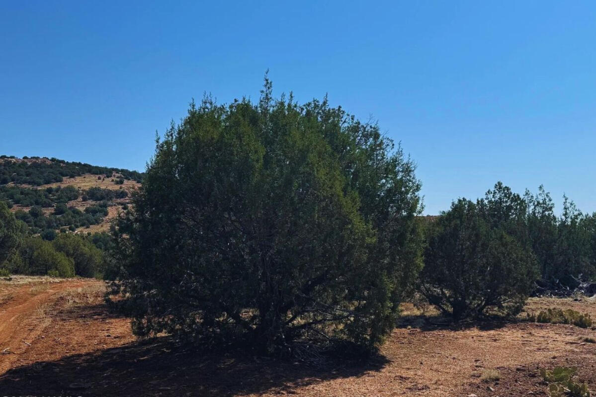 Coconino 2.25 Acres, 20508006 Multi-Family - 5846 W Valley View Blvd, Williams, AZ 86046